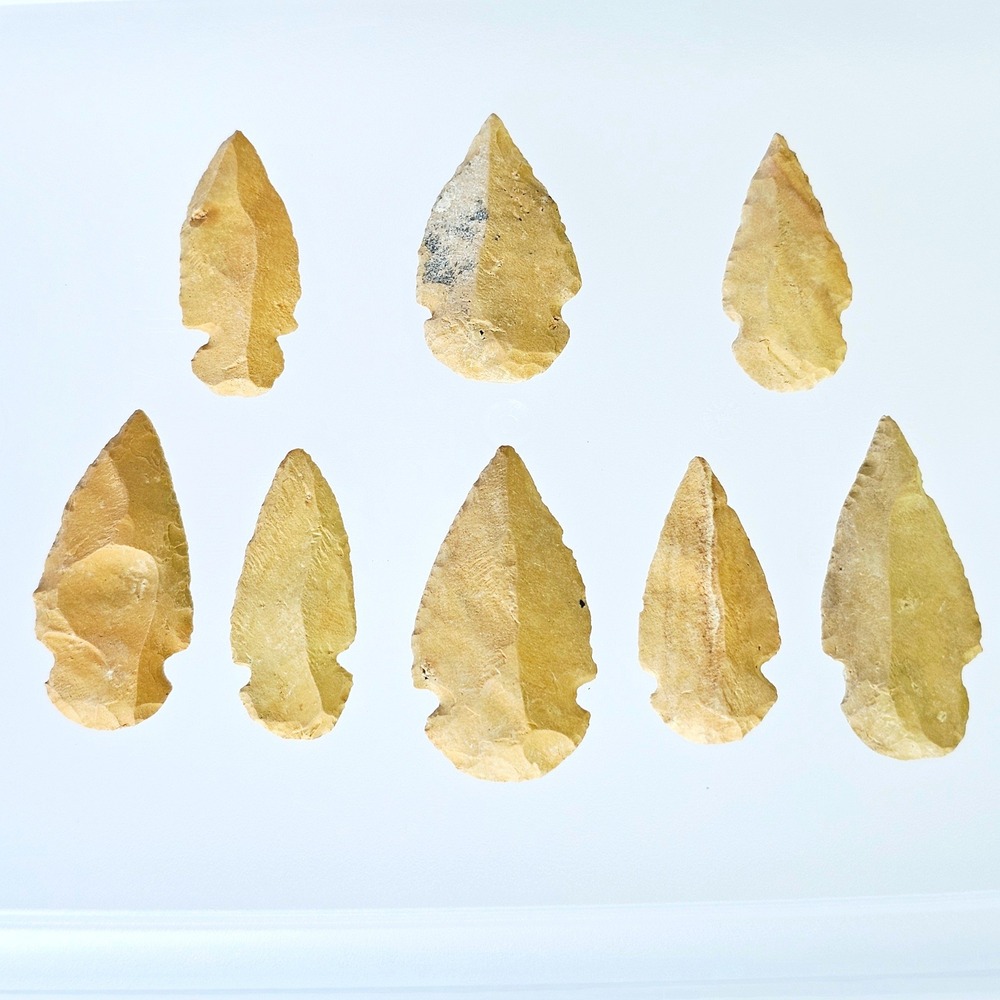 Lot of 8 Chert Arrowhead Collection Hand Knapped Stone Projectile Point Artifact